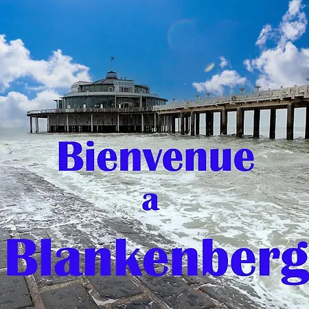 Nocleg ze śniadaniem Vague Bleue Blankenberge